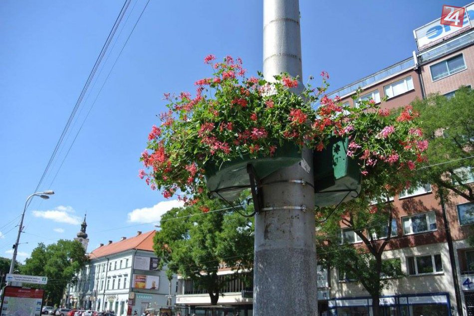 Bratislava rozkvitla