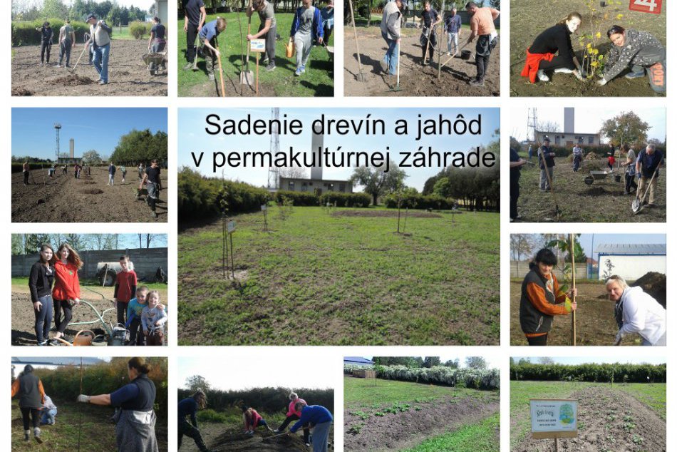 Do trnoveckej školy je radosť chodiť:Dopestujú si tam vlastnú úrodu