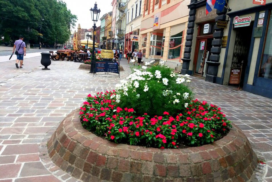 V OBRAZOCH: Košice rozkvitli do krásy