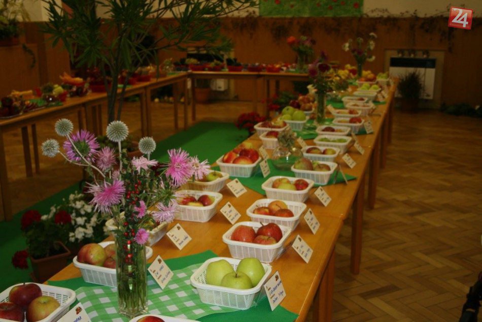 Výstava ovocia, zeleniny a kvetov v Šuranoch
