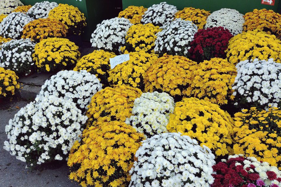 Obrazom: Predajcovia už ponúkajú kvety a vence na dušičky