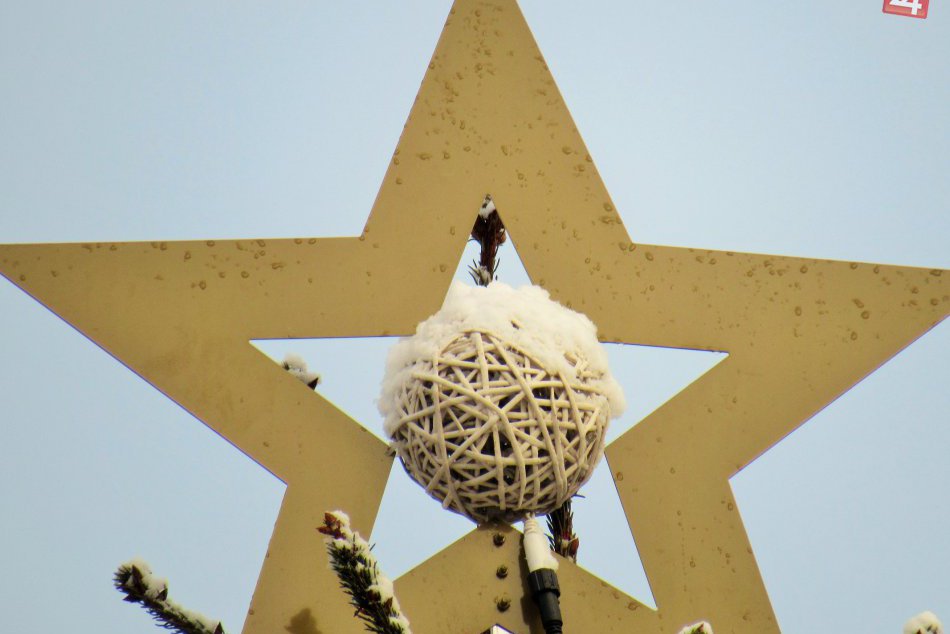 Má charizmu, ktorá očarí aj dospelých: Vianočný stromček je na svojom mieste
