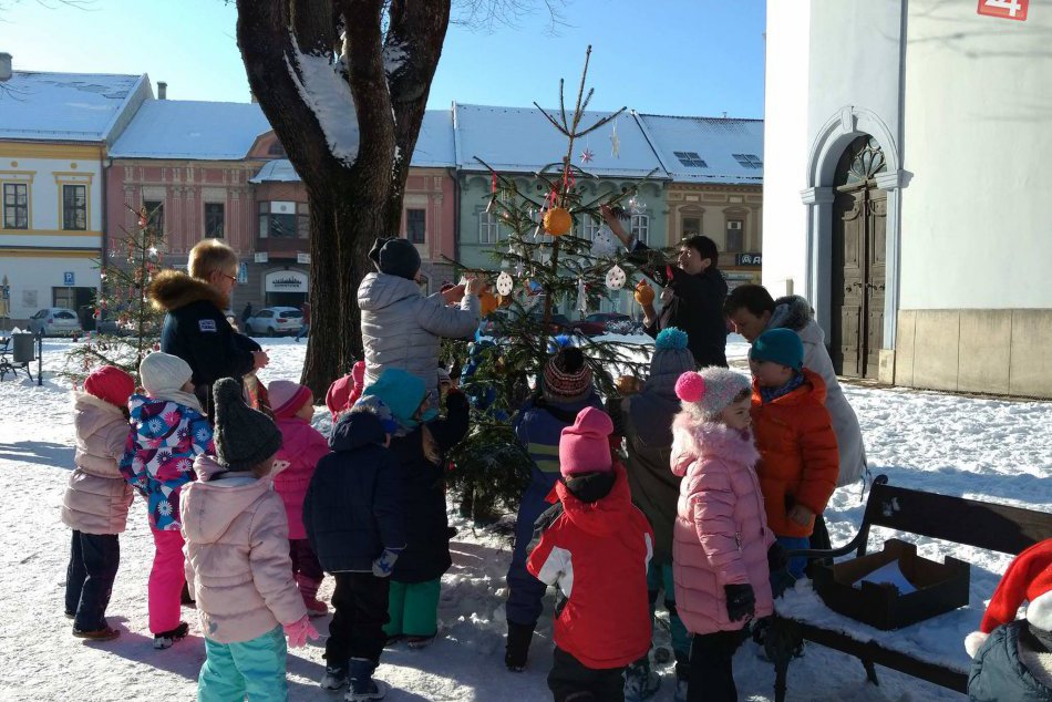 Fotogaléria: Aj takéto vianočné stromčeky môžete obdivovať v Spišskej
