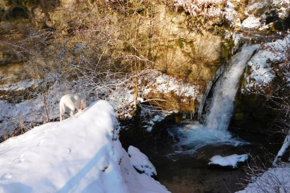 Obrazom: Pozrite si Hájske vodopády v zimnom šate