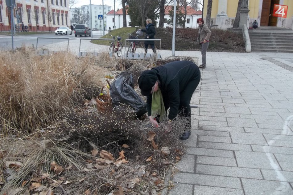 FOTO, V Šali sa rozhýbali nožnice: Aktivisti pracovali pri kostole