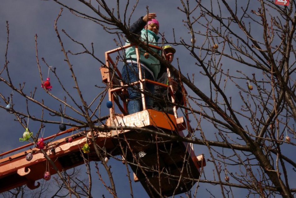 Obrazom: Zdobenie stromu v Dobšinej