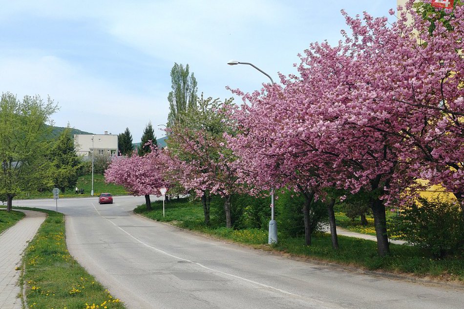 Obrazom: Najkrajšia ulica v Rožňave