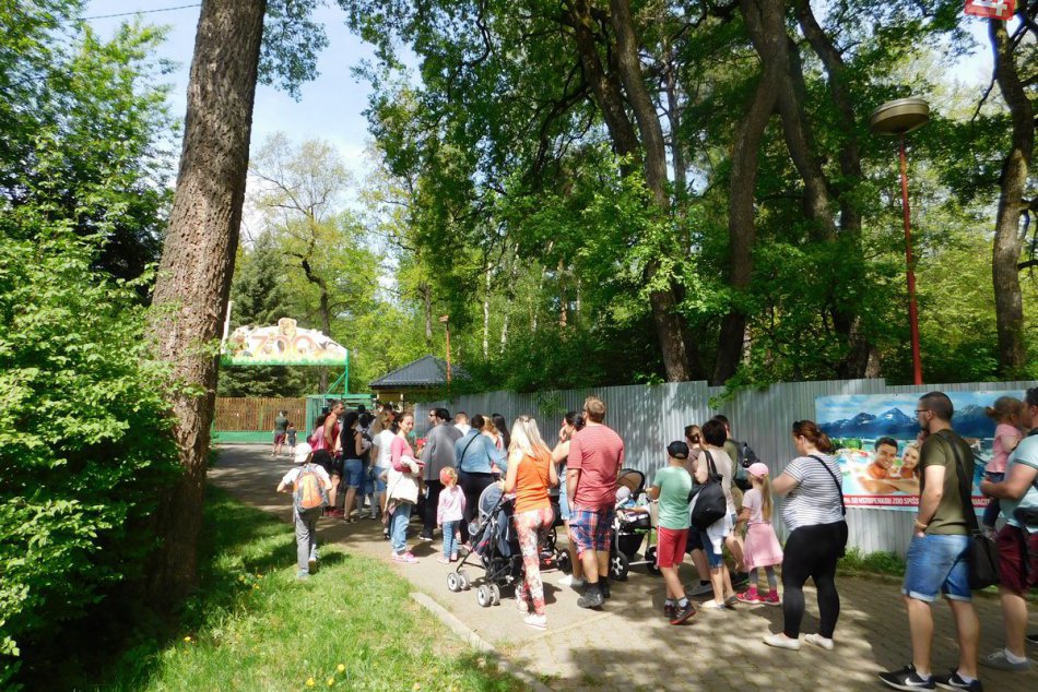 Zoo v Spišskej sa rozhodlo navštíviť niekoľko tisíc ľudí