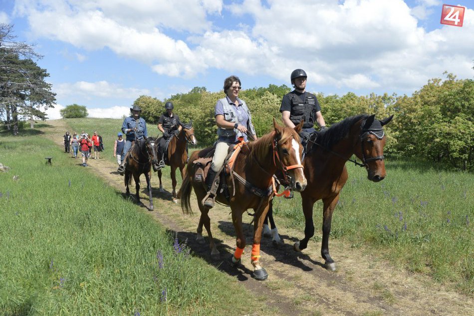FOTO: Na poriadok na Zobore dohliadajú zmiešané policajné hliadky na koňoch