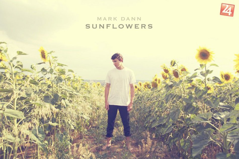 Mark Dann Sunflowers