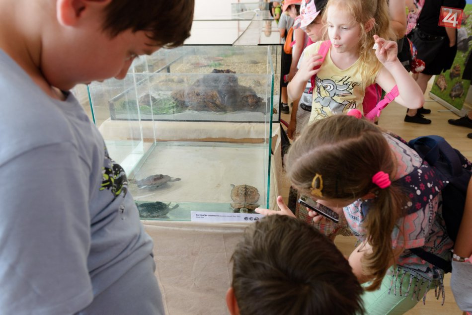 FOTO: Návštevníkom Botanickej záhrady v Nitre sa otvoril svet korytnačiek