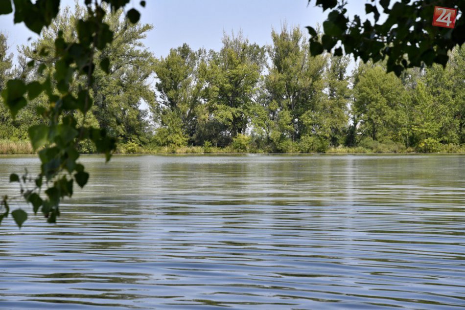 FOTO: Rybám v Drahovciach škodia parazity v prehriatej vode