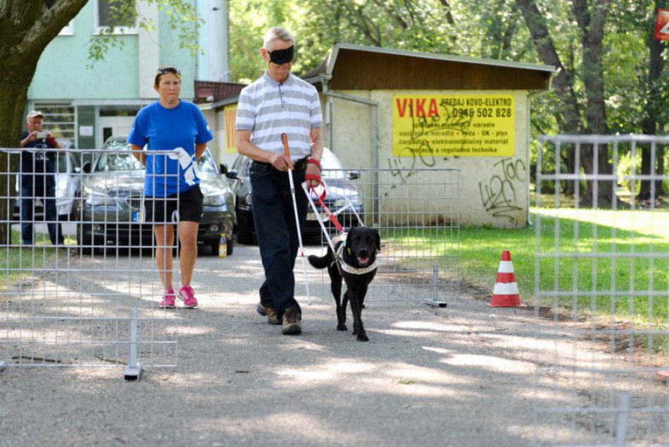 Výnimočné psy s úlohou pomáhať nevidiacim sa stretli v Nitre, FOTO a VIDEO