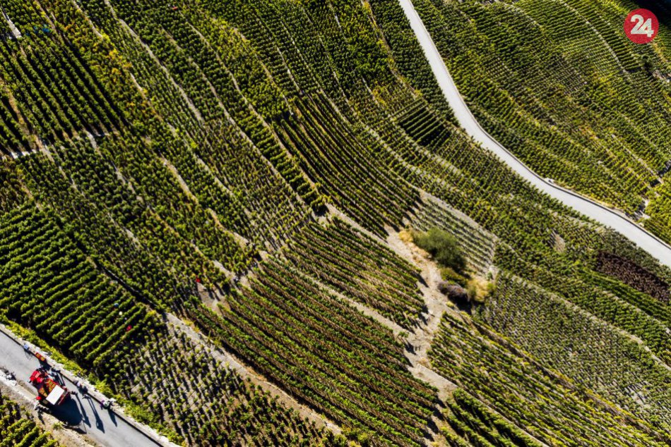 Švajčiari majú najvyššie položený vinohrad v Európe