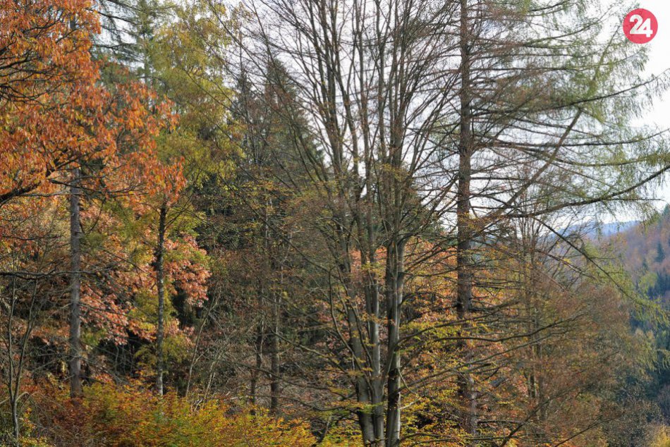V OBRAZOCH: Malebná jeseň v Rajeckej doline