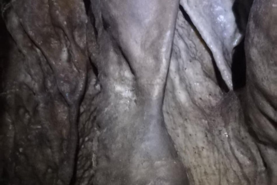 Po 68 rokoch ju znovu objavila trnavský výprava: Jaskyňa v Nitre odhaľuje krásy