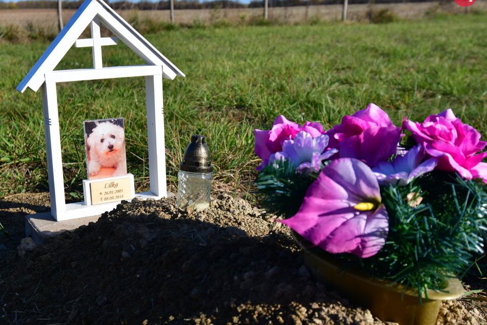 OBJEKTÍVOM z nevšedného cintorínu v okrese Michalovce: Určený je zvieratám