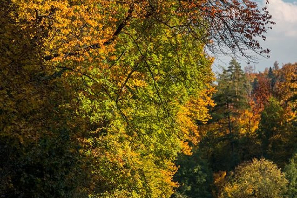 Obrazom: Tieto nádherné FOTO treba vidieť