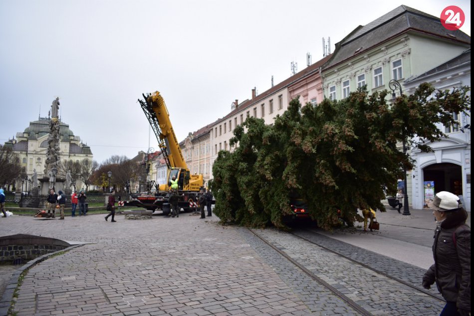 Vianočný stromček Košice