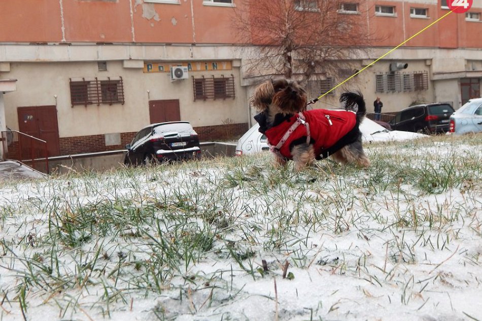 FOTO: Zasnežené momenty zo žiarskych ulíc