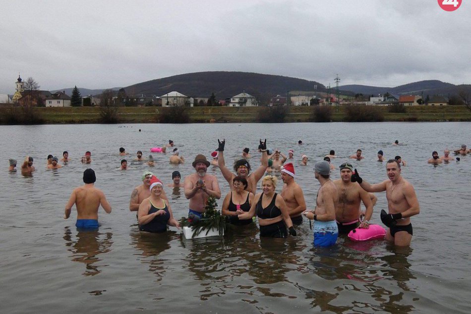 Trenčianske tulene počas tréningu a podpory útulku