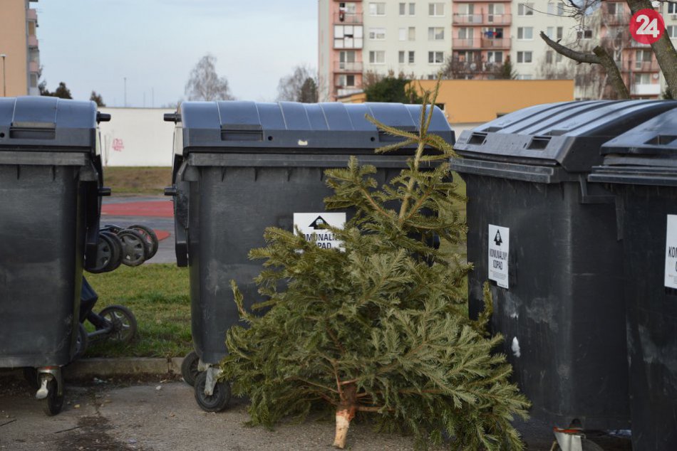 V Šali budú zbierať vianočné stromčeky: Mesto určilo dva termíny vývozov, FOTO