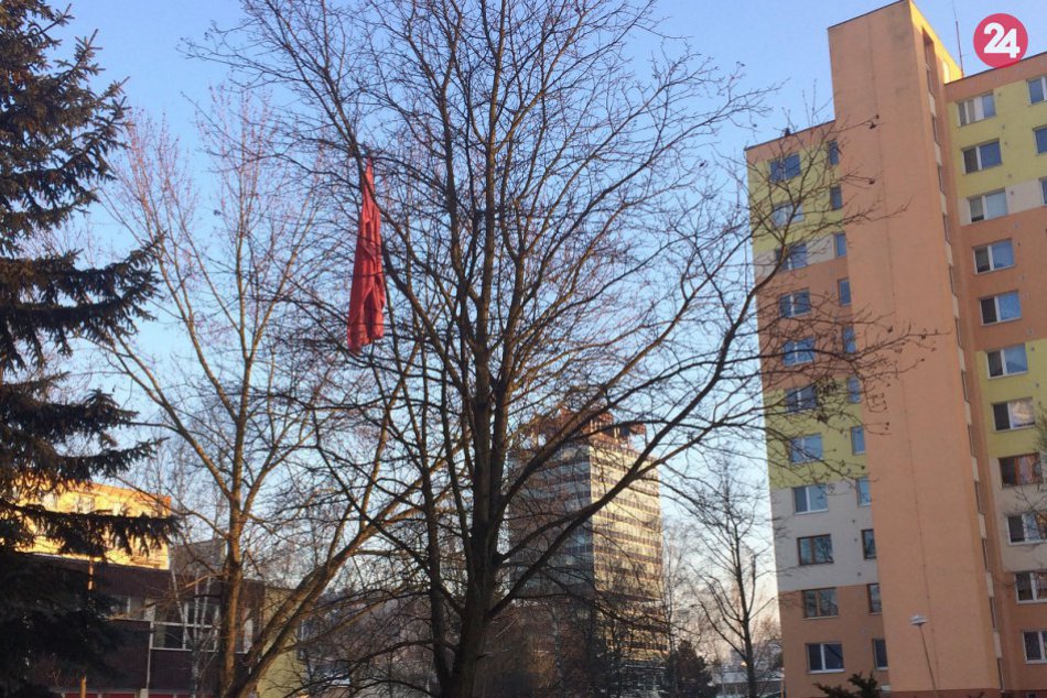 Ružová deka vydržala v Považskej na strome skoro rok: Už je však dole