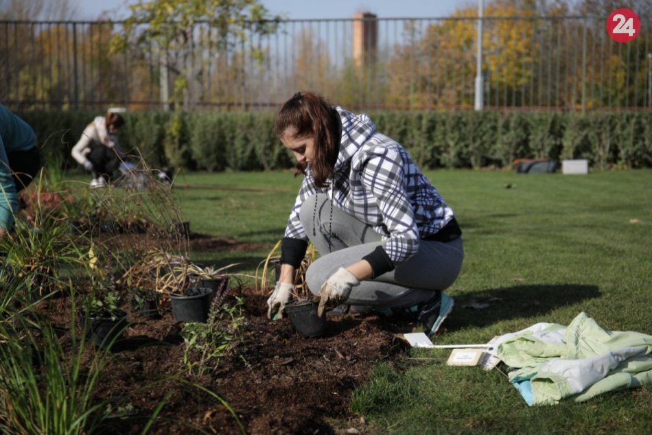 Jediný na Slovensku: Krajinná a záhradná architektúra na SPU má medzinárodnú akr