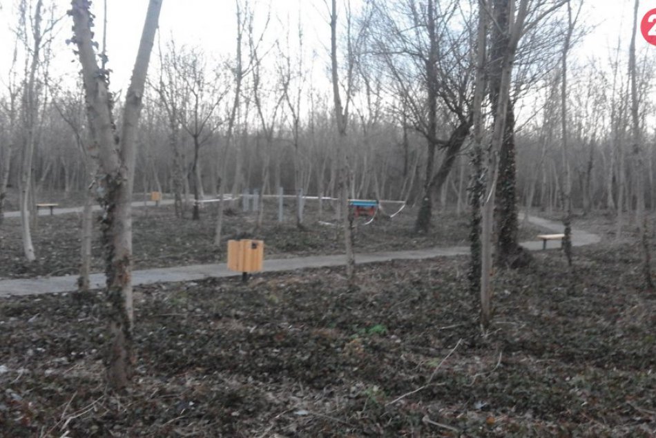 V šalianskom lesoparku sa opäť pracuje: Radnica pokračuje s relax zónou, FOTO