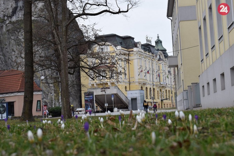 FOTO: Prvé kvety v Parku M. R. Štefánika ohlasujú koniec zimy