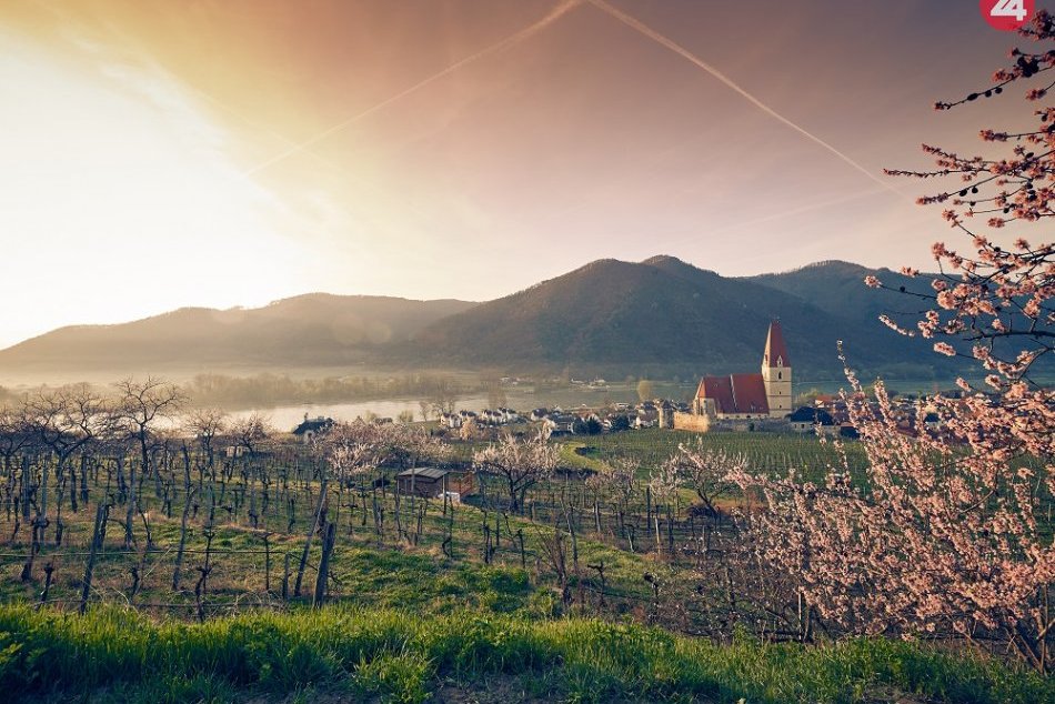 Jar v Dolnom Rakúsku je plná vína