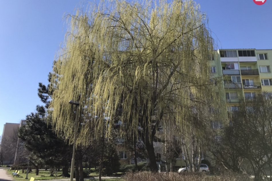 Príroda v Košickom kraji