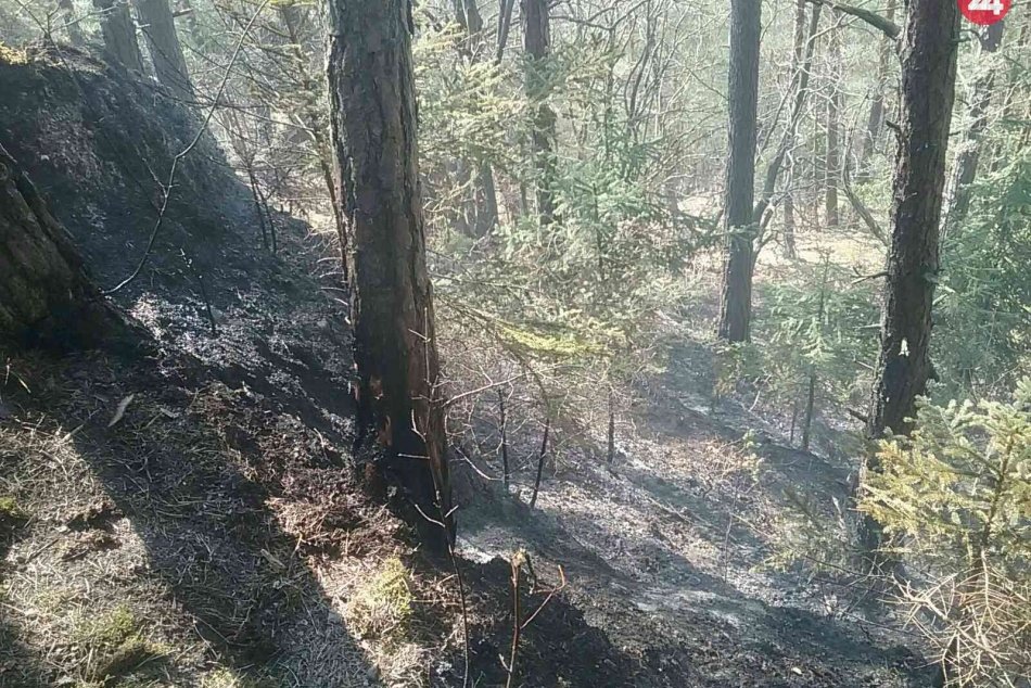 Požiar lesného porastu v katastri obce Prečín: Zábery odtiaľ