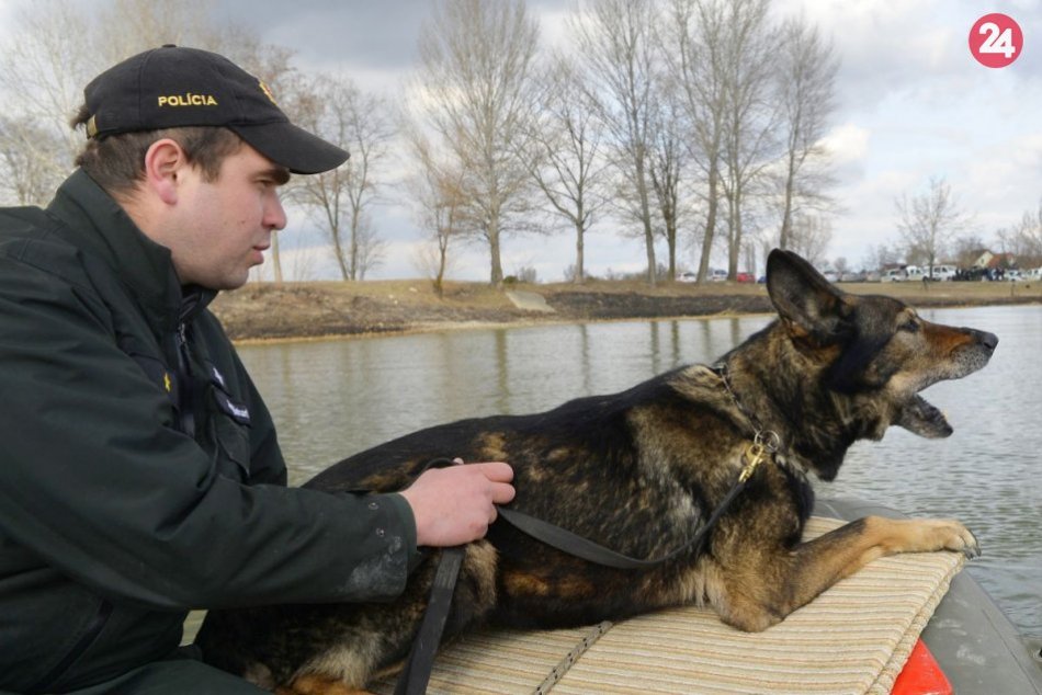 Sučka Yoko je jedným z najstarších policajných psov