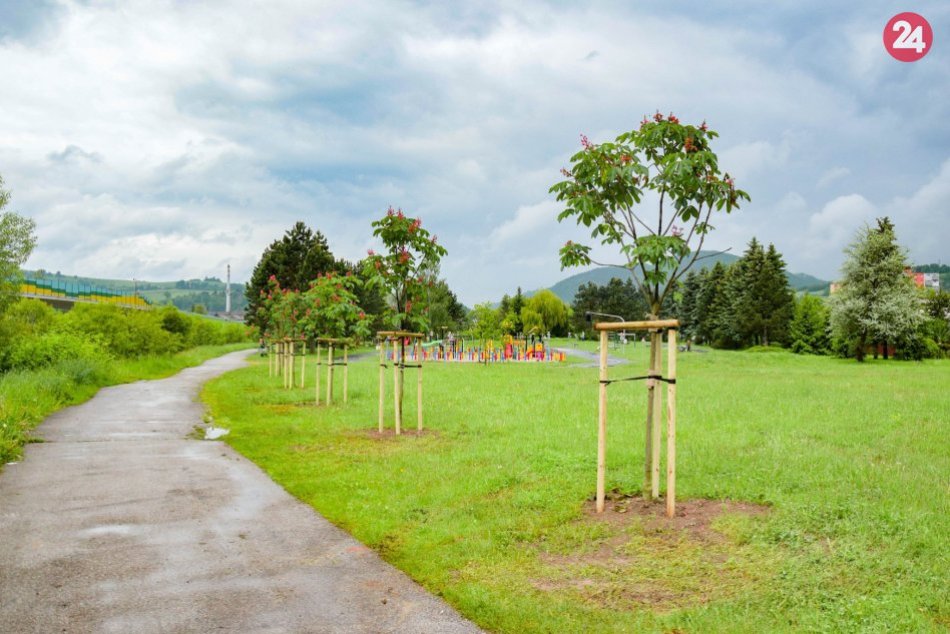 Výsadba stromčekov v Brezne