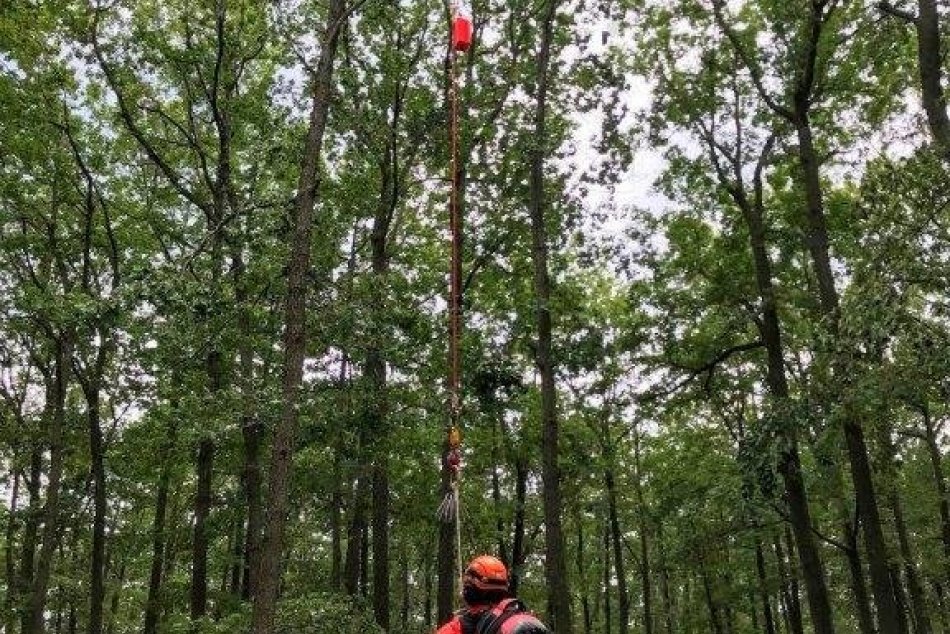 Pilčíka zasiahol kmeň stromu: Na pomoc mu letel vrtuľník