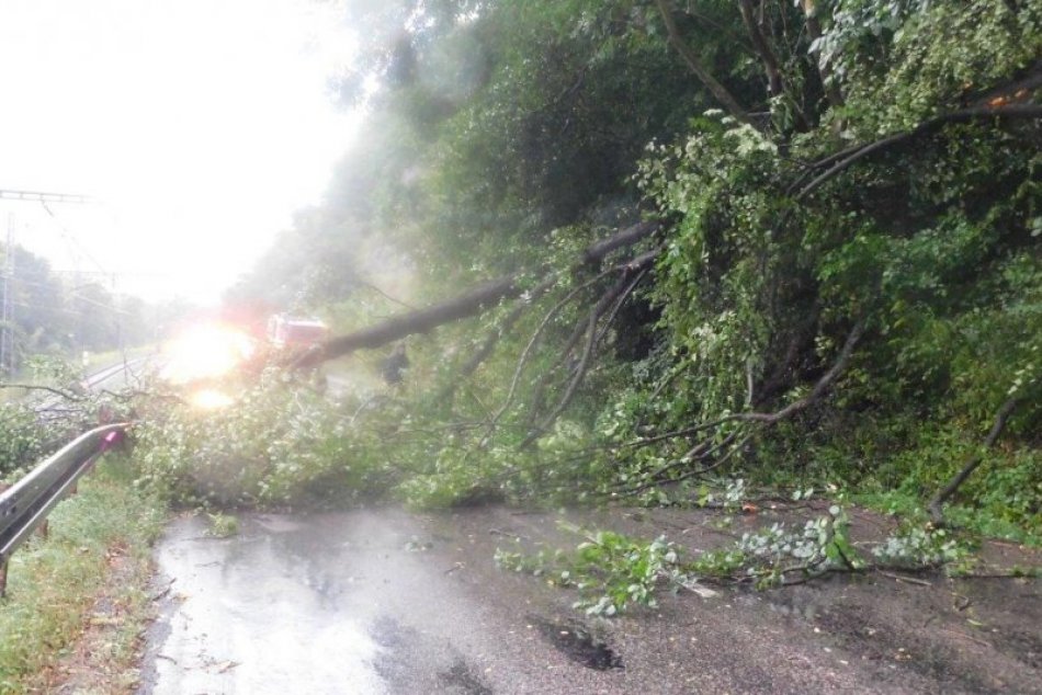 V OBRAZOCH: Zrážka vlaku so spadnutým stromom neďaleko Zvolena
