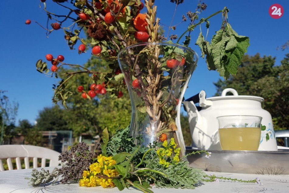 Rozhovor s Annou Kopáčovou