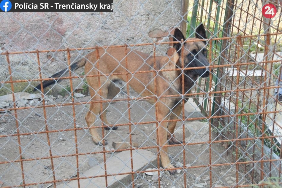 Policajné FOTO z prípadu: Dôchodcu (76) napadli dva psy
