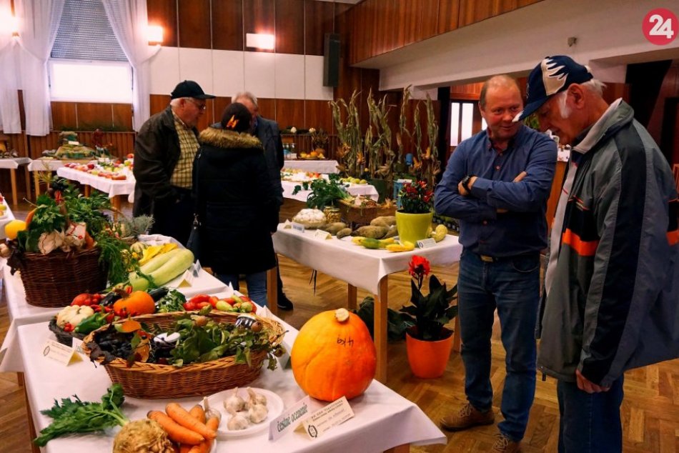 Plody rôzneho druhu: V Topoľčiankach sa konala výstava ovocia a zeleniny