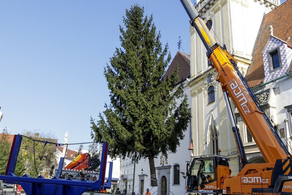 Osádzanie vianočného stromčeka na Hlavnom námestí
