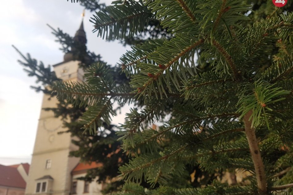 Vianočný stromček zdobí Trojičné námestie