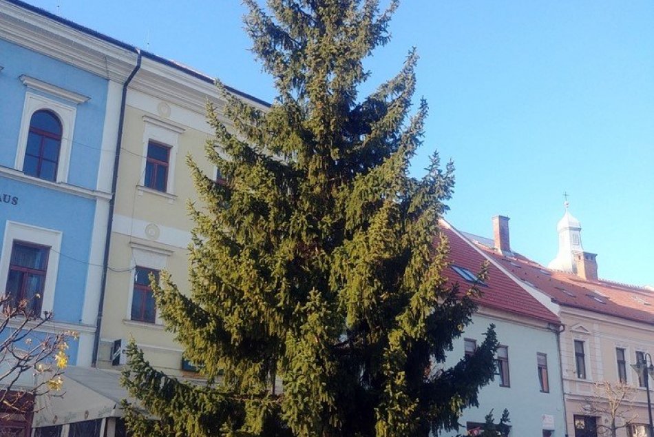 Obrazom: V Rožňave už stojí vianočný strom
