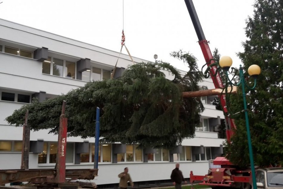 FOTO: Takto sa osadil vianočný stromček v Považskej Bystrici