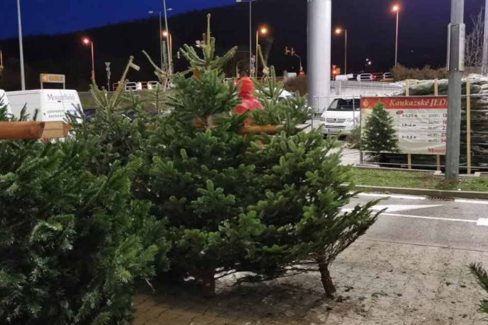 Predaj vianočných stromčekov 2019