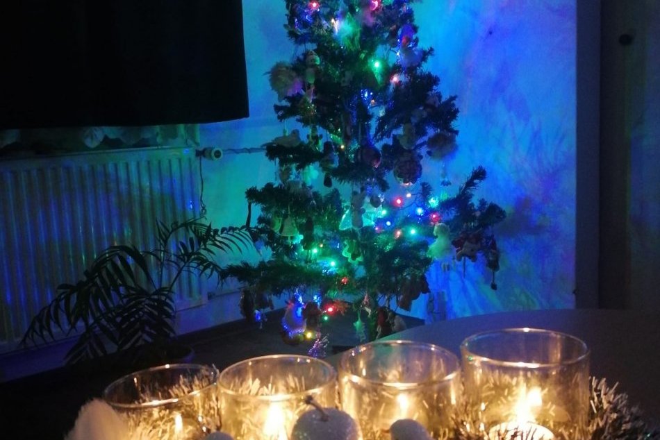 Obrazom: GALÉRIA vianočných stromčekov Rožňavčanov