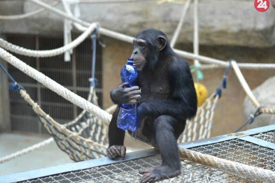 Bibiana a ZOO