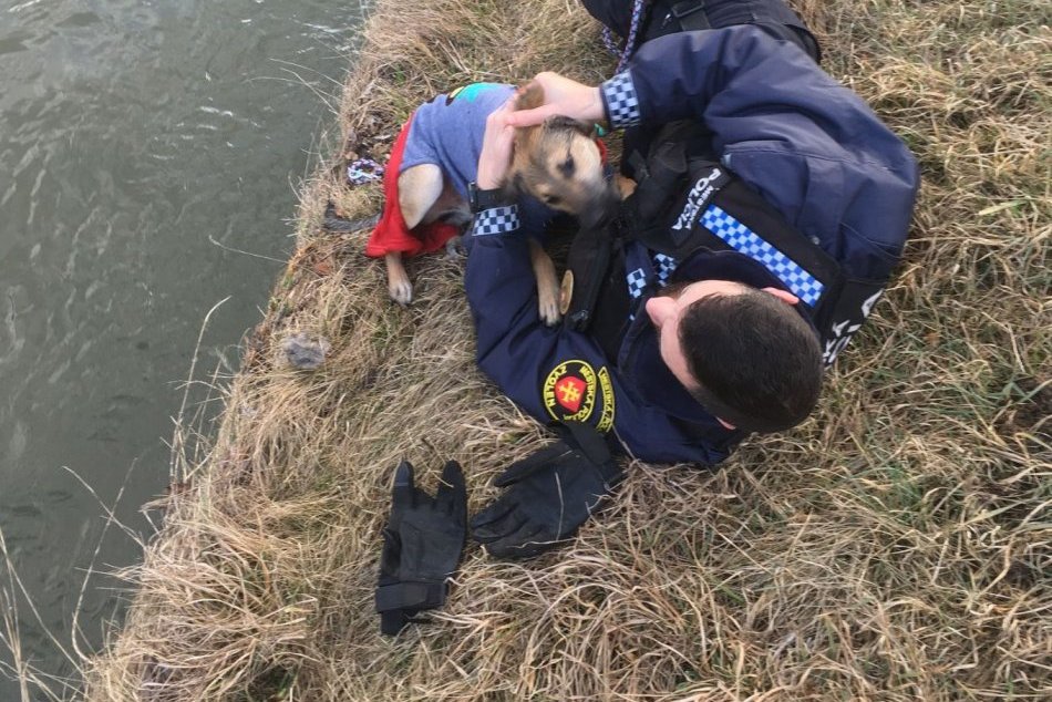 V OBRAZOCH: Mestskí policajti zachránili z Hrona psíka