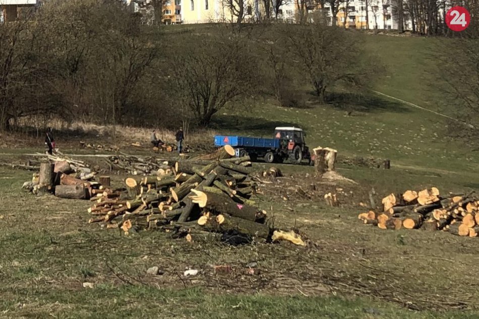 FOTO: Na Rozkvete pri osmičke vyrúbali desiatky stromov, má tam byť parkovisko