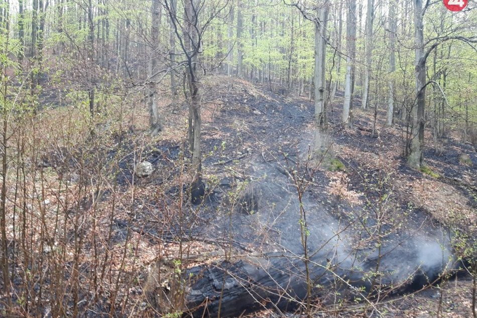 FOTO: Požiar lesného porastu v katastri obce Lúka